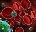 Breakthrough in HIV Prevention: WHO Recommends Injectable Lenacapavir