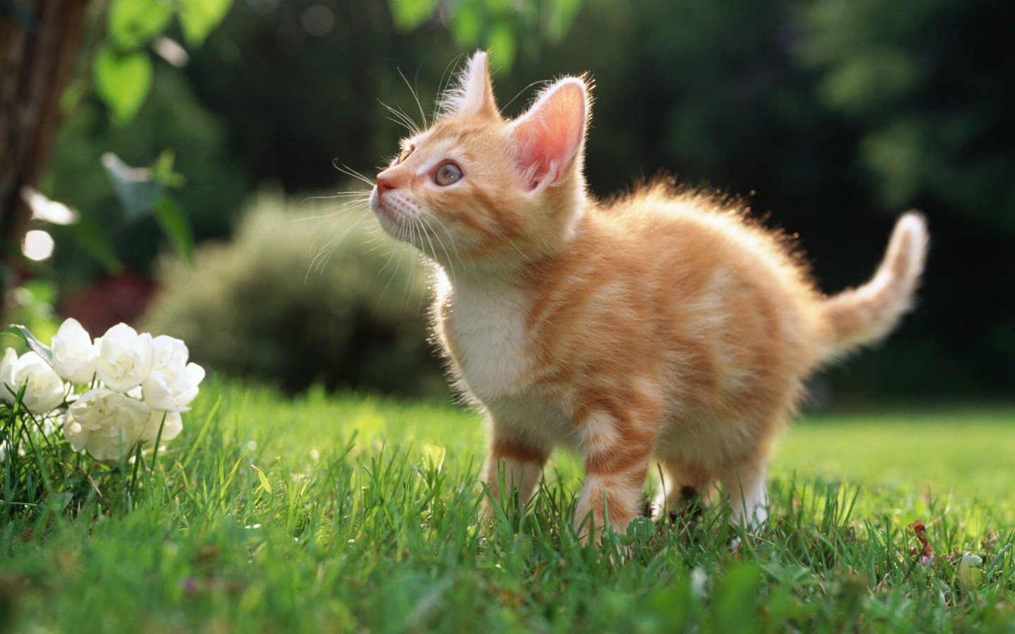 //img.enjoy4fun.com/news_icon/d23jho3ggbvc72recep0.jpg