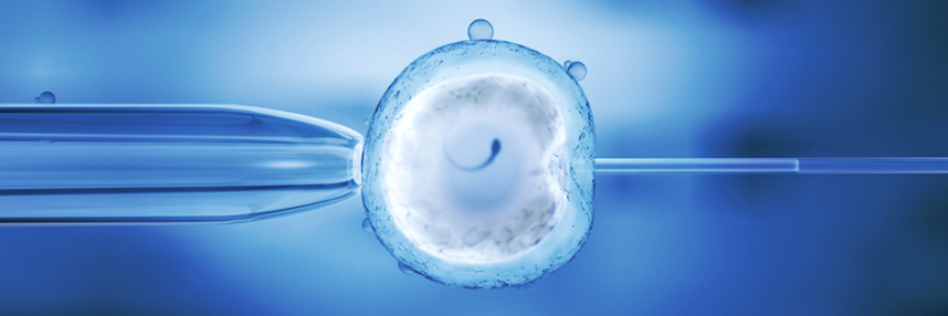 Navigating IVF Assistance in the U.S