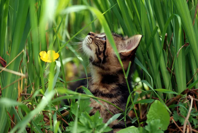//img.enjoy4fun.com/news_icon/d2a4tpmf8jcc72r1h3r0.jpg