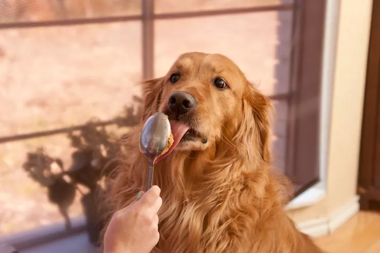 //img.enjoy4fun.com/news_icon/d2appnncc2qs72r9f0k0.jpg