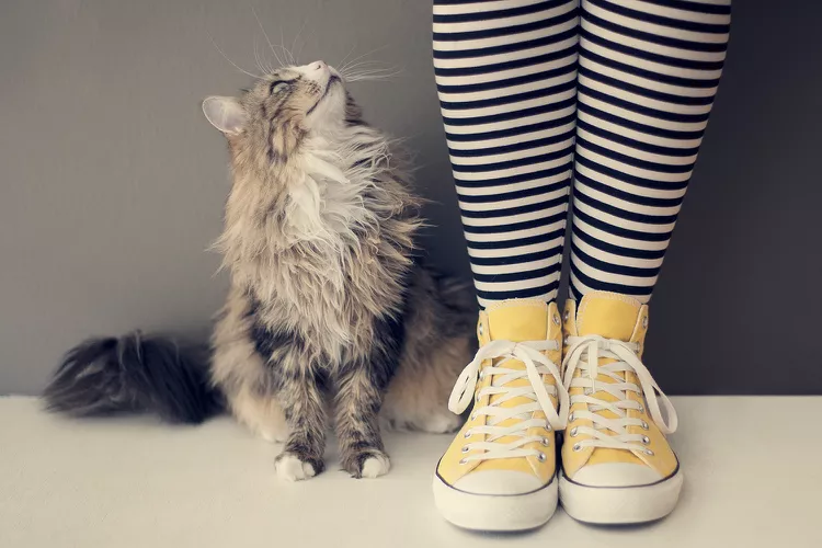 //img.enjoy4fun.com/news_icon/d2crd5jl5vvc72r6uou0.jpg