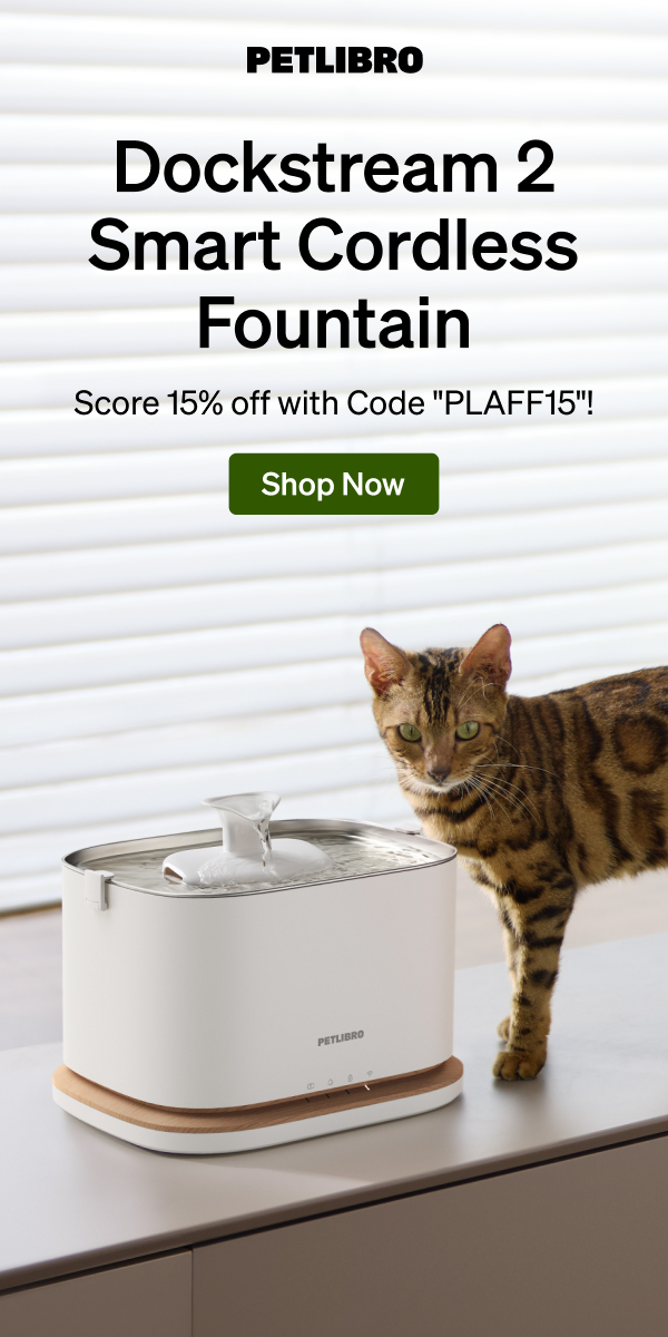 //img.enjoy4fun.com/news_icon/d2m08o7cc2qs72t6ds1g.png