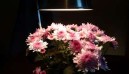 //img.enjoy4fun.com/news_icon/d2o2d25plkqc7177vl0g.jpg