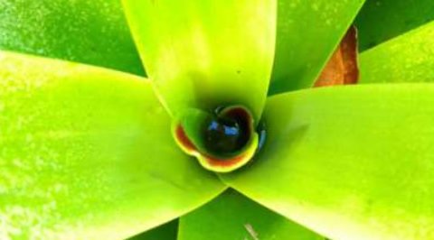 //img.enjoy4fun.com/news_icon/d2o2e95plkqc71785i9g.jpg