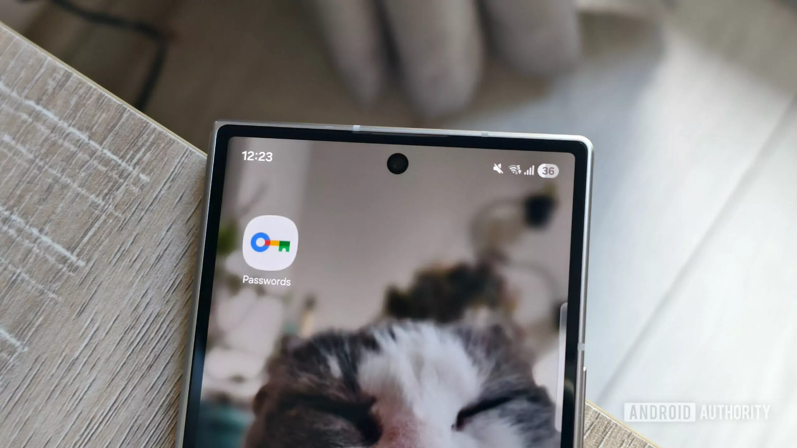 Google's Standalone Password Manager App Liberates Users from Chrome Dependency