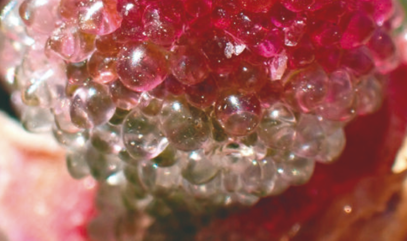 //img.enjoy4fun.com/news_icon/d2rurjgjd3jc72q5lp7g.jpg