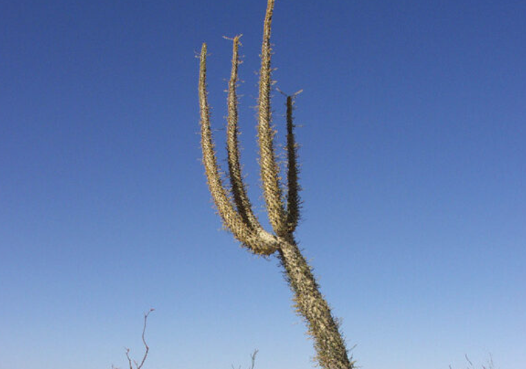 //img.enjoy4fun.com/news_icon/d2rv9qojd3jc72q7r4fg.jpg