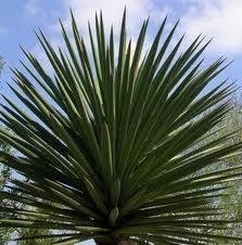 //img.enjoy4fun.com/news_icon/d35qobk7vjps72p0vl40.jpg