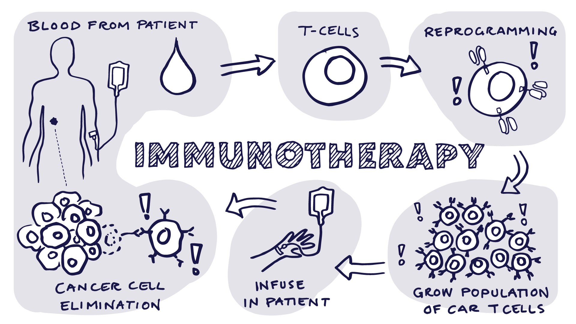 Immuno Therapy: A Breakthrough in Modern Medicine