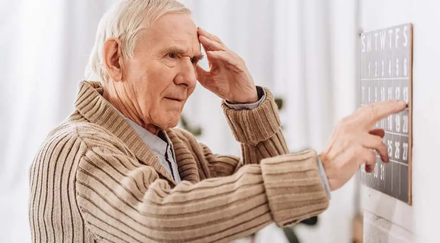 A Comprehensive Guide to Alzheimer's Disease