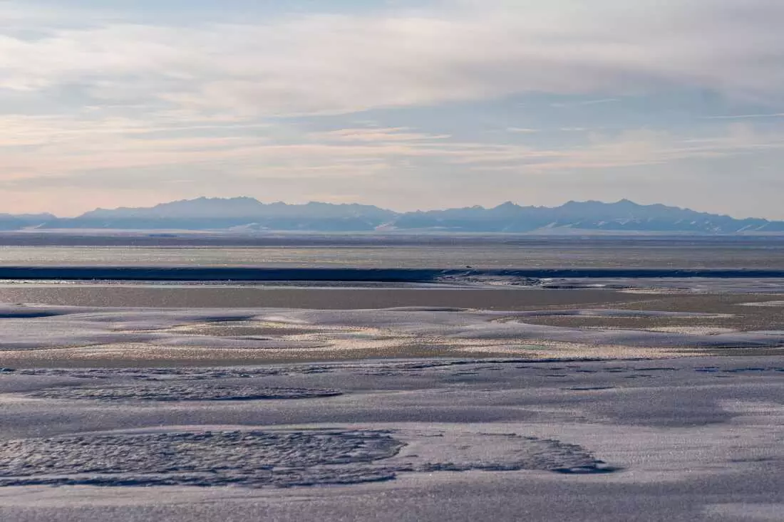 Trump Administration Greenlights Oil and Gas Drilling in Alaska's Arctic Refuge