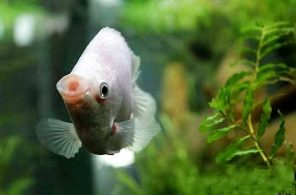 //img.enjoy4fun.com/news_icon/d4254vvkap2c72uciu80.jpg