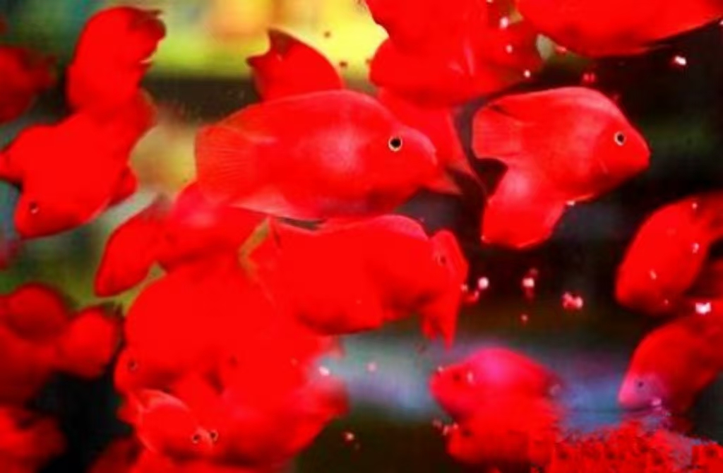 //img.enjoy4fun.com/news_icon/d425egvkap2c72ucvmkg.jpg