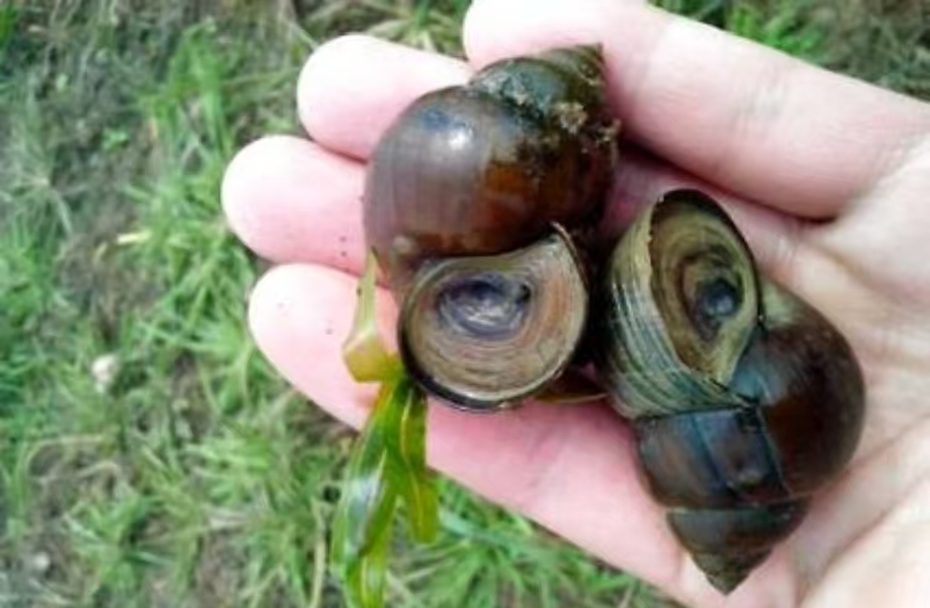 //img.enjoy4fun.com/news_icon/d425i87kap2c72ud5av0.jpg