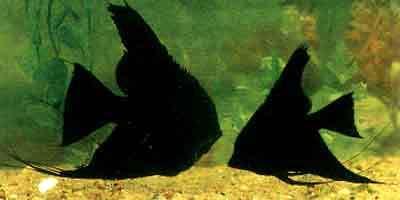 //img.enjoy4fun.com/news_icon/d425oi5qvnos72qbqls0.jpg