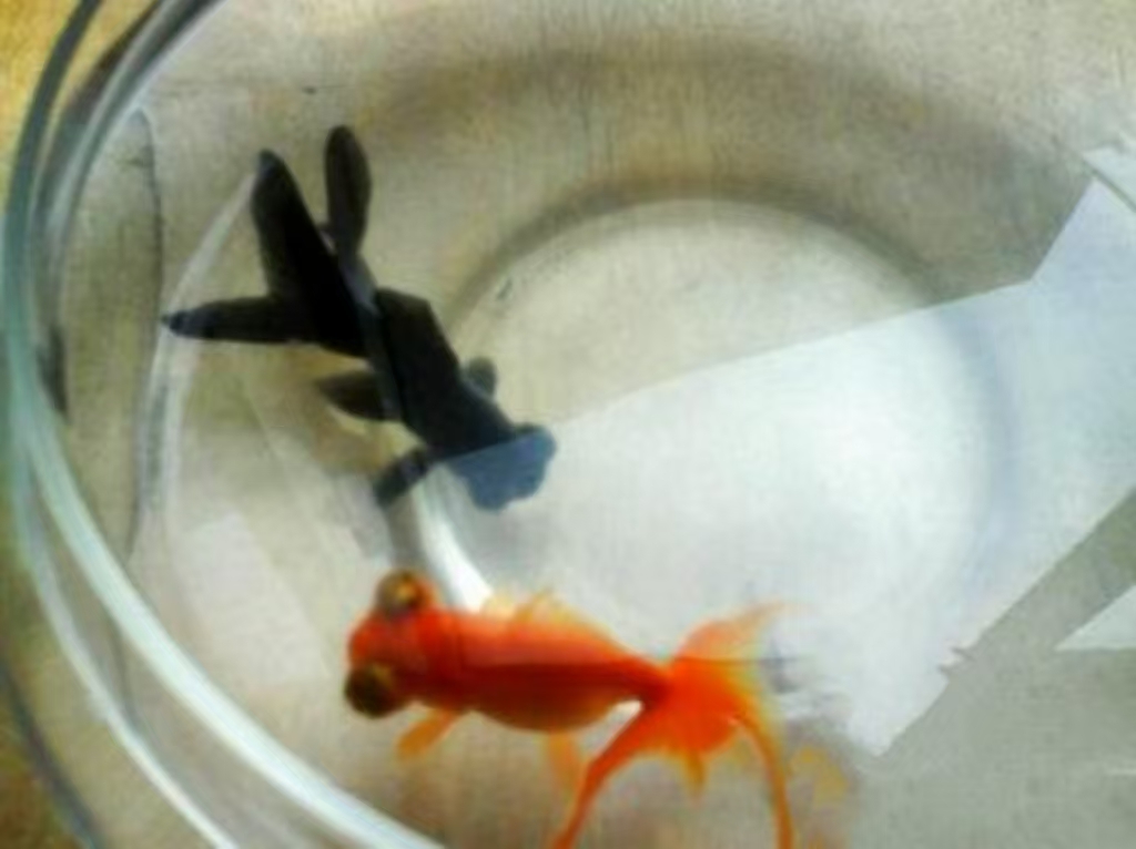 //img.enjoy4fun.com/news_icon/d426225qvnos72qc7vtg.jpg