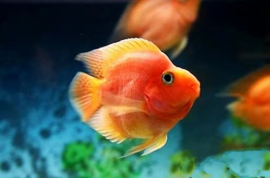 //img.enjoy4fun.com/news_icon/d42623tqvnos72qc82lg.jpg
