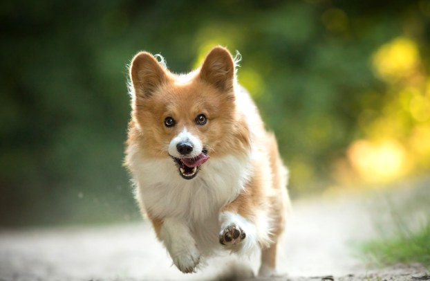 //img.enjoy4fun.com/news_icon/d44rereoiaos72ukn3pg.jpg