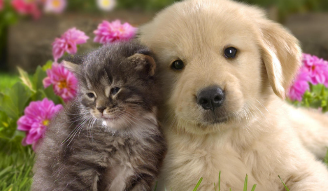 //img.enjoy4fun.com/news_icon/d44rkteoiaos72ul7mug.jpg