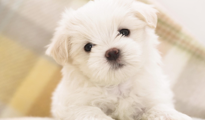 //img.enjoy4fun.com/news_icon/d466oe8m749s72v5emlg.jpg