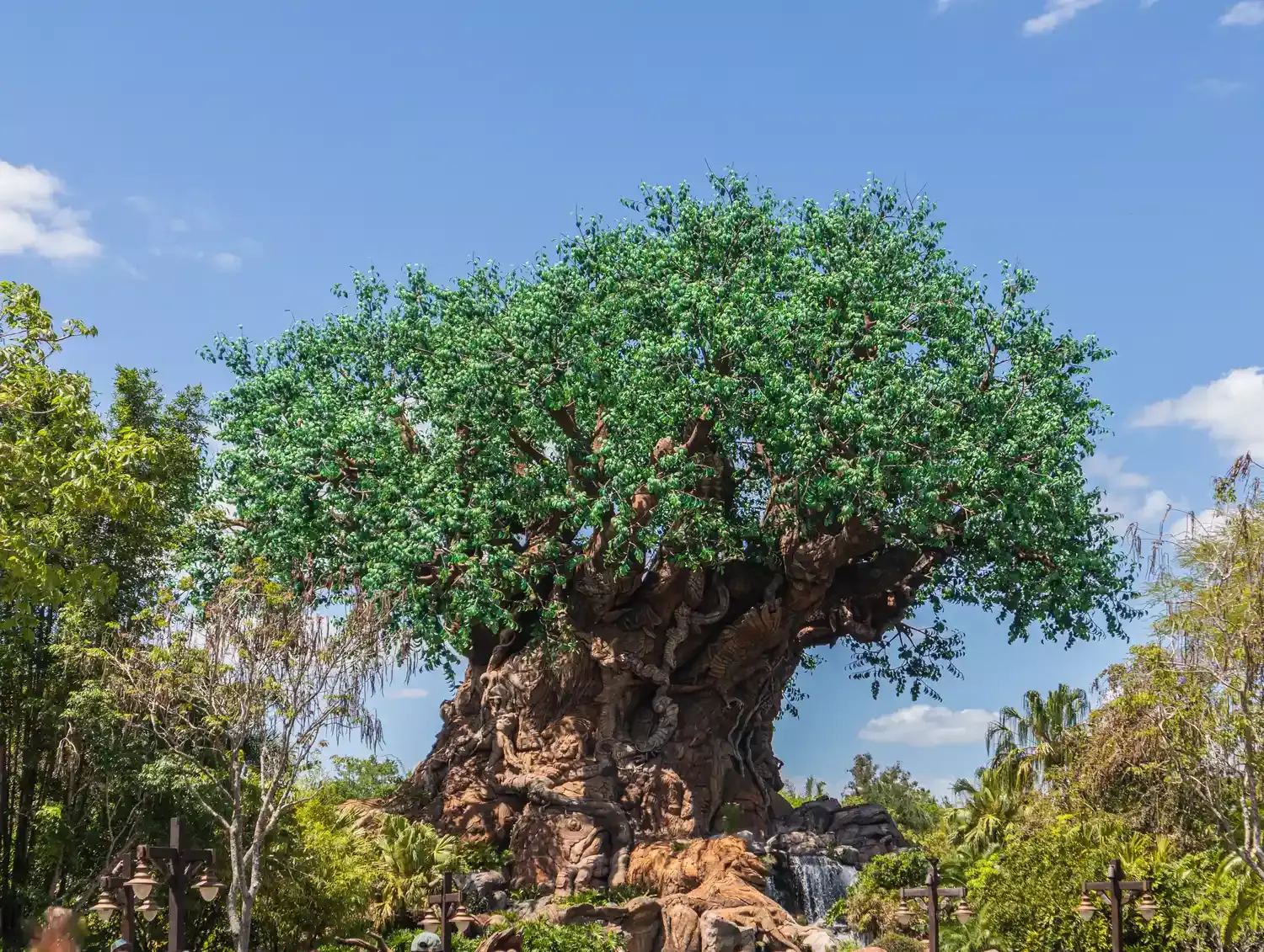 A Magical Family Journey: Discovering Unity at Disney's Animal Kingdom