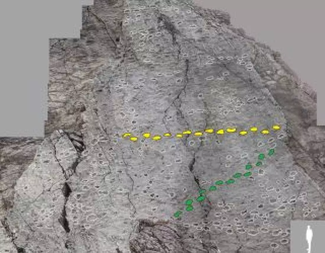 Ancient Dinosaur Tracks Uncovered Near Italian Winter Olympic Sites