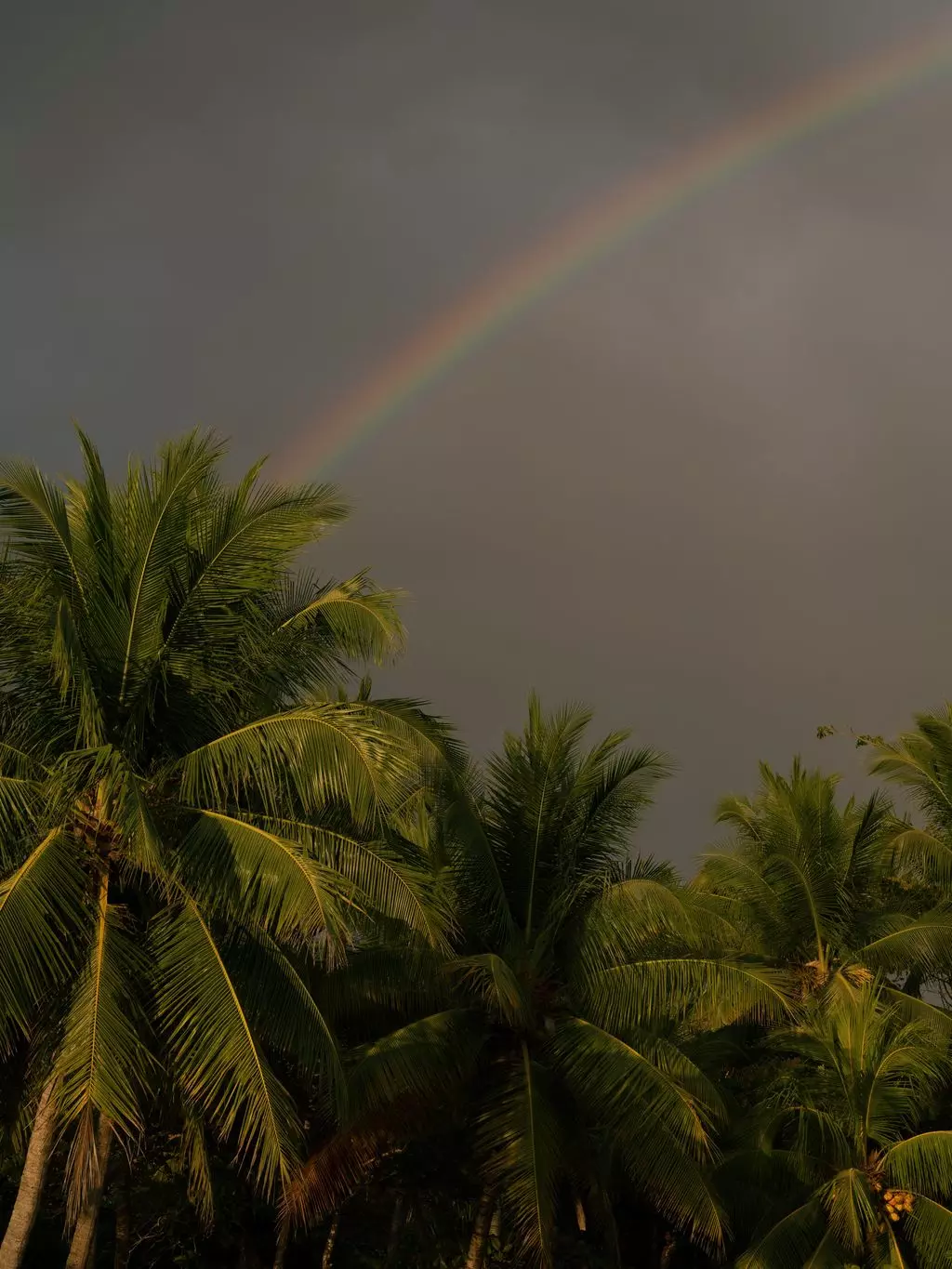 Drew Taggart and Mari Fonseca's Enchanting Costa Rican Beach Wedding