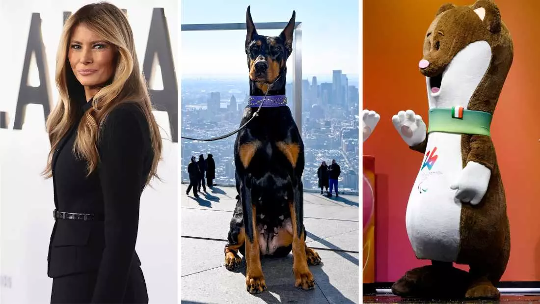 Unveiling the Enigma: What Secrets Does the CIA Hold?