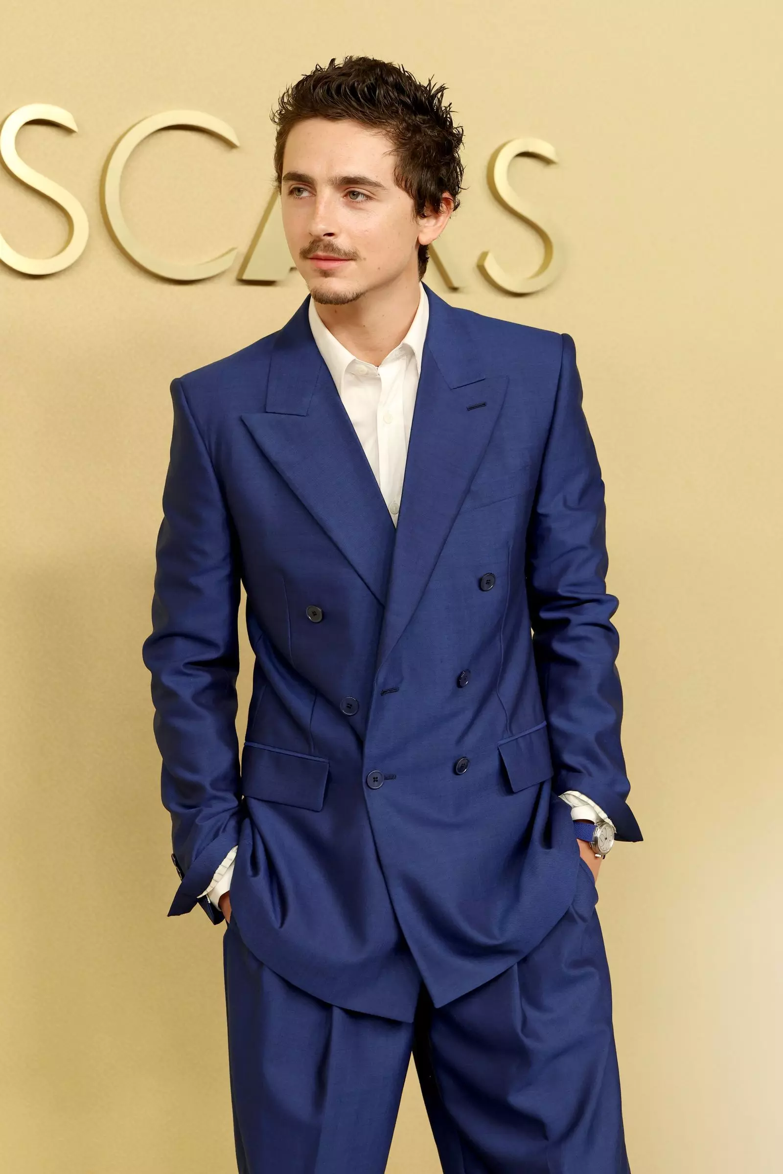 Timothée Chalamet's Hair Evolution: From Shaggy to Spiky