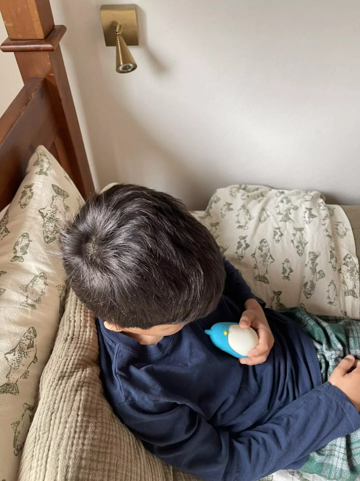 A Parent's Perspective: The Moonbuddy for Children's Emotional Regulation
