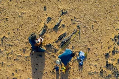 New Dinosaur Species Discovered with Unique Horn and Aquatic Lifestyle