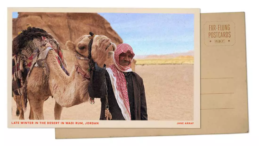 Wadi Rum Blooms: A Desert Transformed by Winter Rains