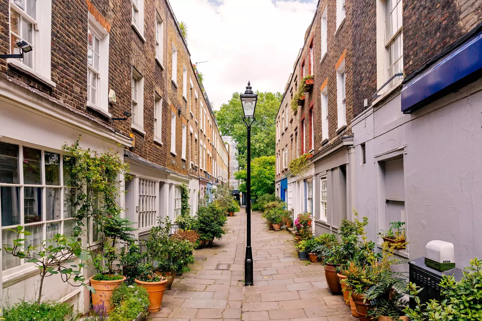 The Newman Hotel: A Bohemian Gem in London's Fitzrovia