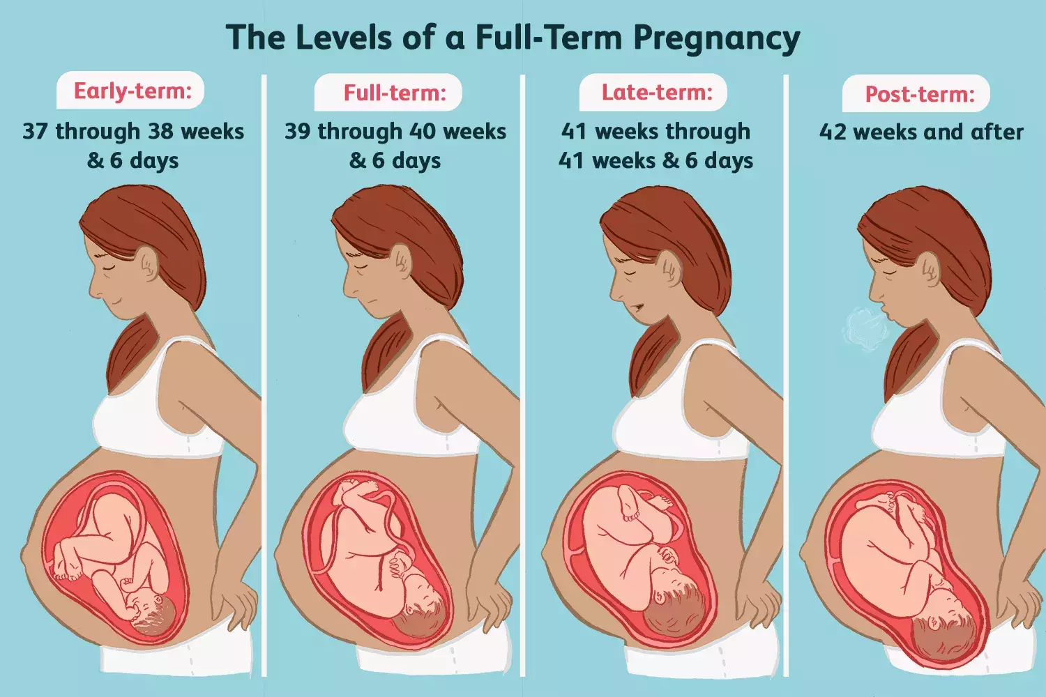 The Importance of Full-Term Pregnancy for Baby's Development
