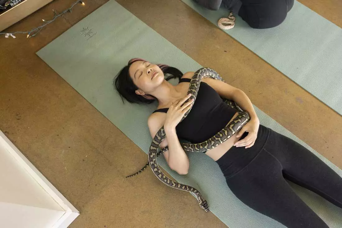Beyond Puppies: The Rise of Snake Yoga in Portland