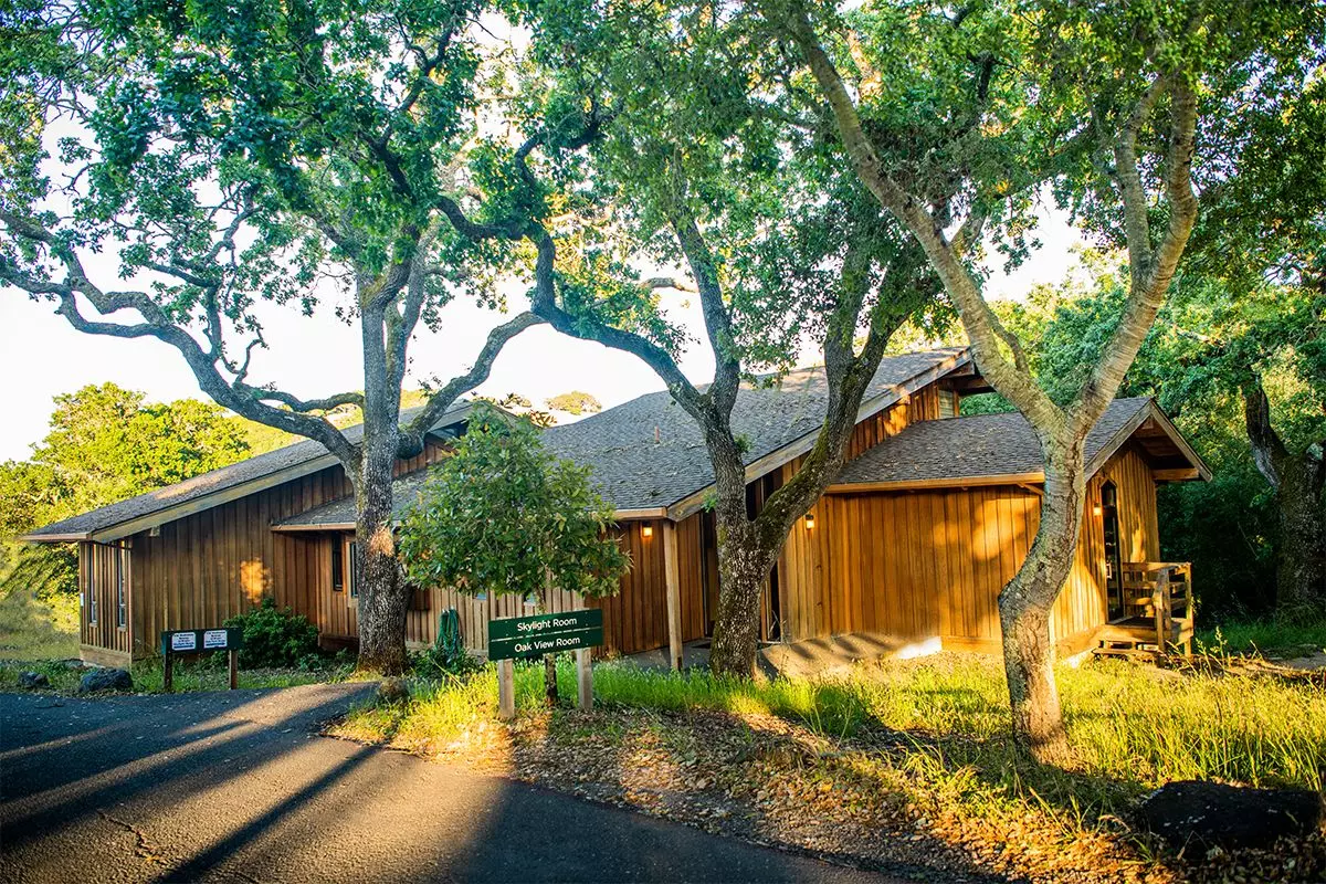 The Hoffman Process: A Deep Dive into the Intensive Self-Discovery Retreat Popular Among Tech Leaders