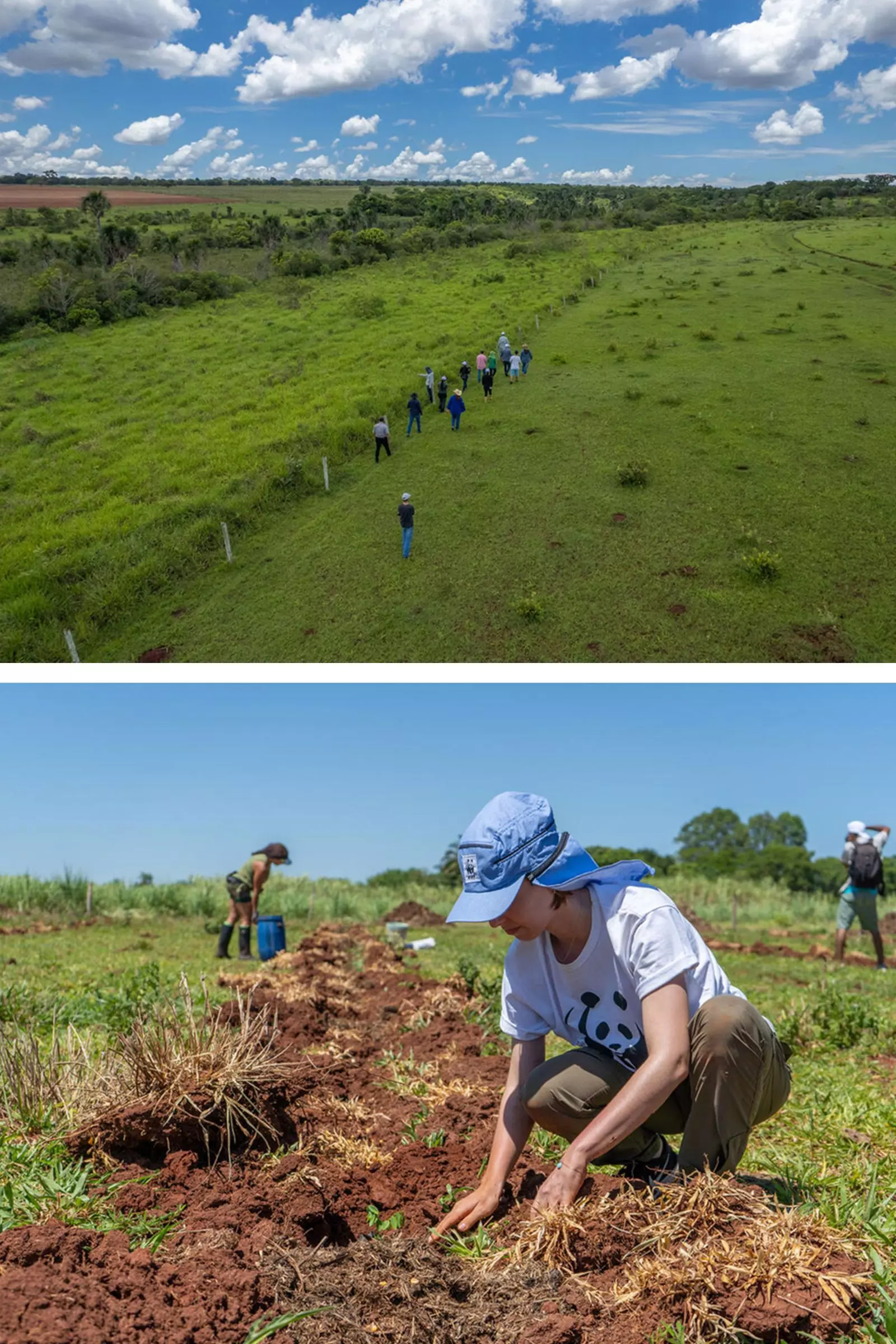 Tapestry's Proactive Approach to Climate Resilience in the Fashion Industry