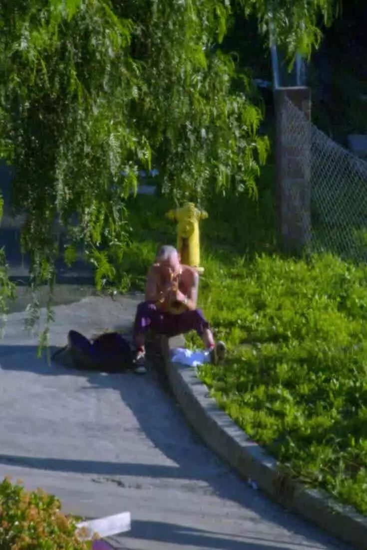 From Funk Bassist to Jazz Trumpeter: Flea's Unconventional Solo Debut