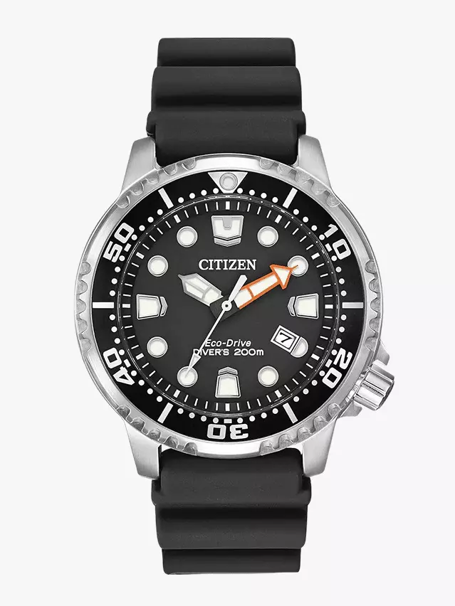 Citizen's Promaster Dive Watch: The Ultimate Summer Accessory on Sale