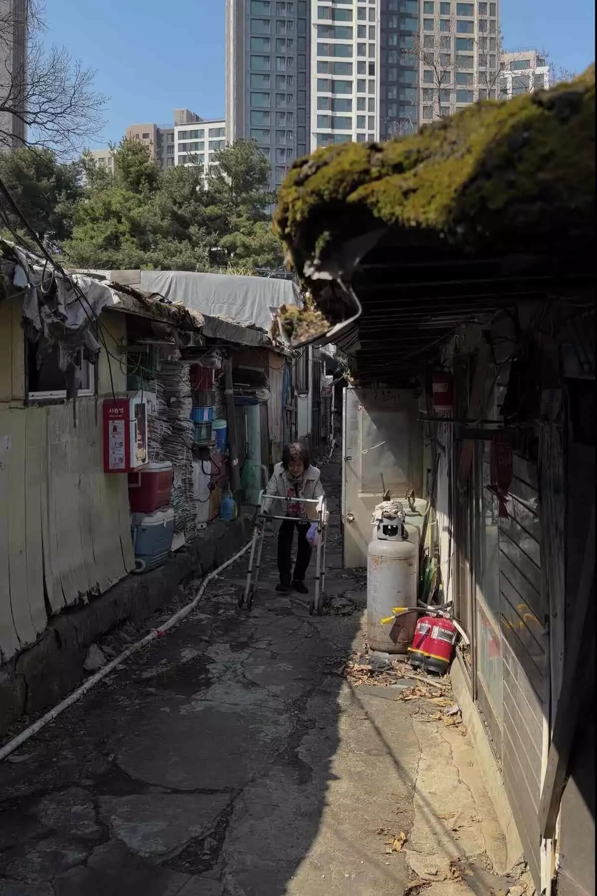 Squatters' Resilience in Seoul's Affluent Gangnam