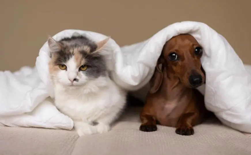 //img.enjoy4fun.com/news_icon/d75oc4qtq8bc72o9r1e0.jpg
