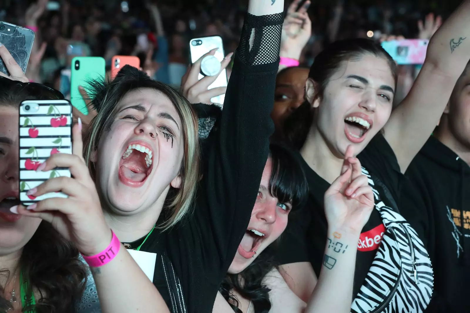 The Evolution of Fandom and its Commercial Impact