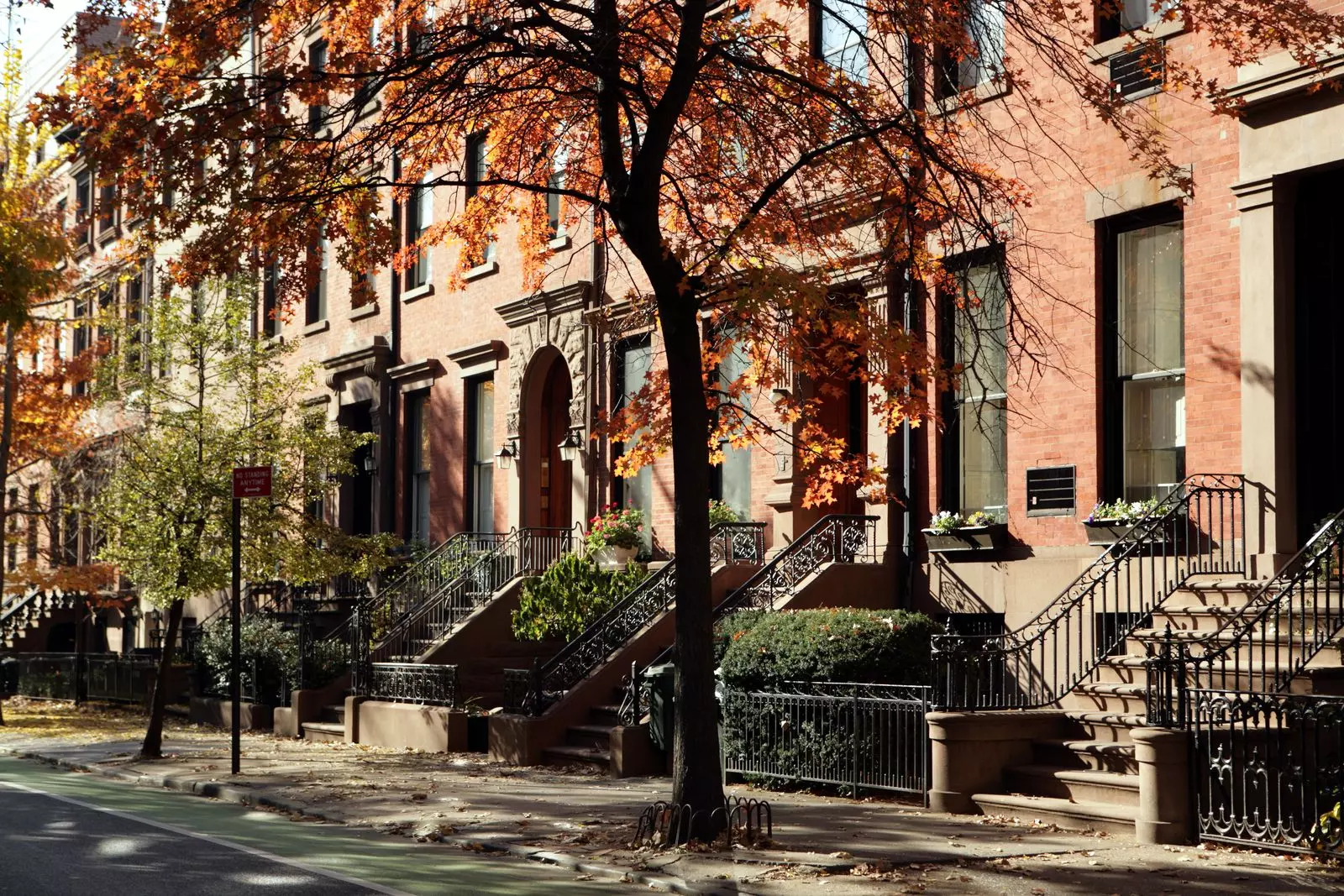 Brooklyn: A New Yorker's Village Life