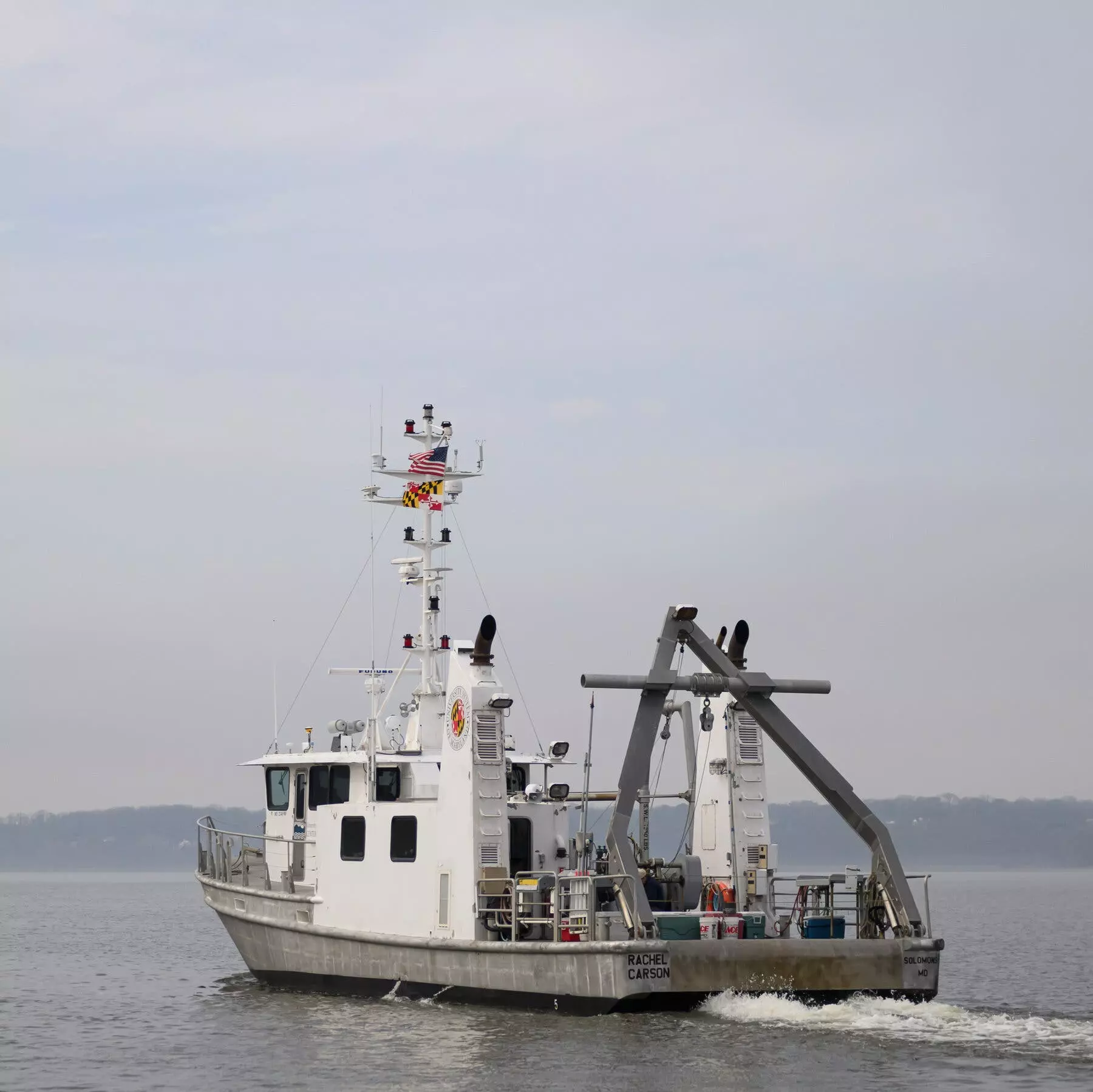 Potomac River Struggles with Persistent Sewage Contamination