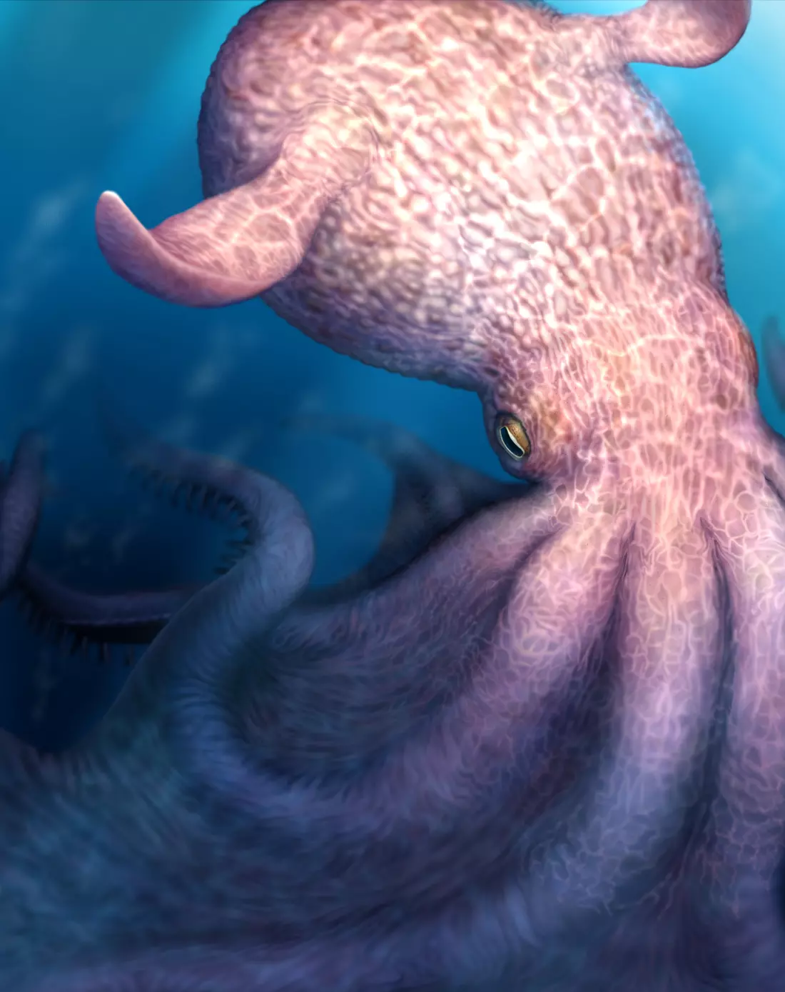 Giant Octopuses Roamed Cretaceous Seas