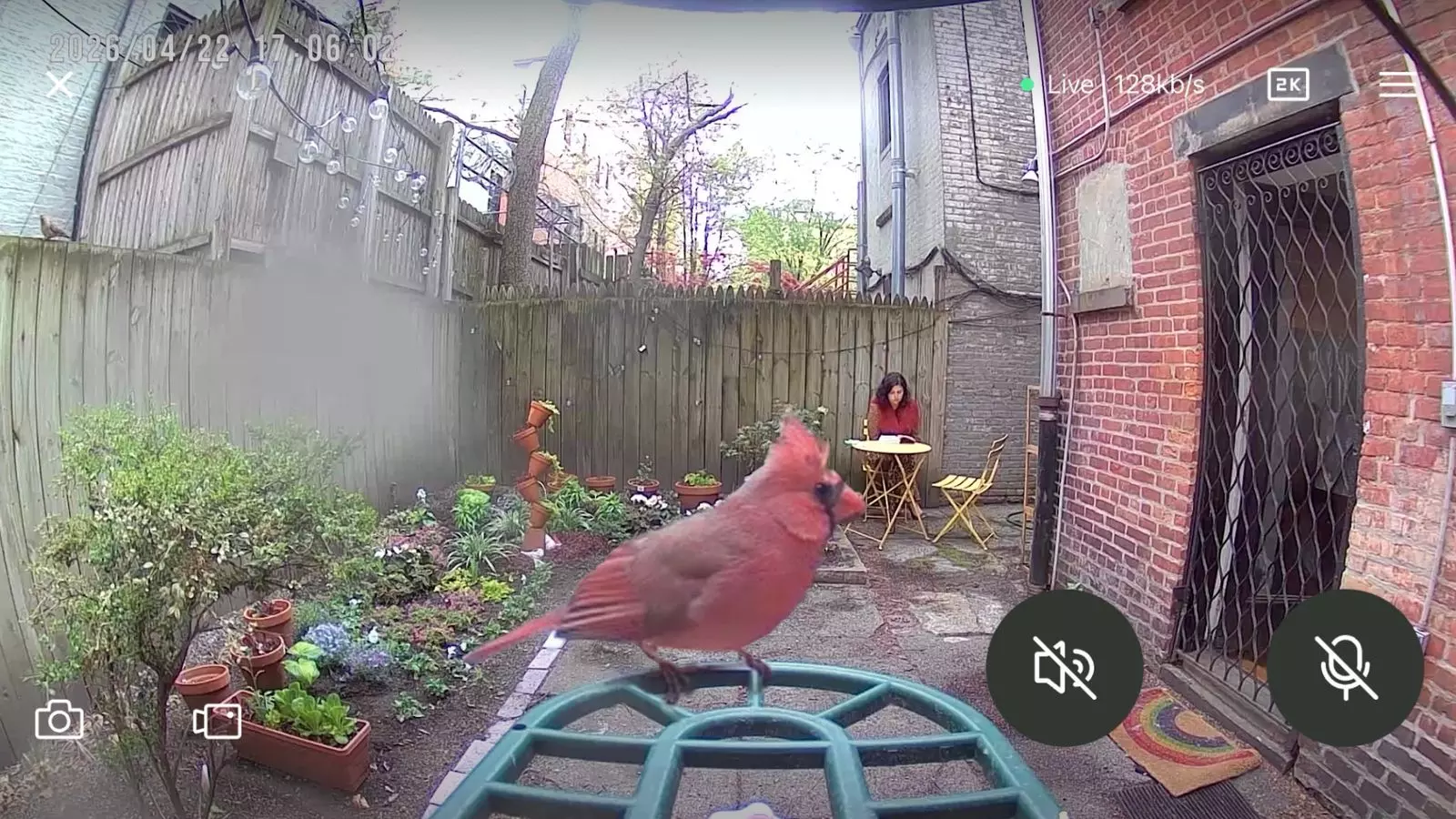 The Unexpected Joy of Birdwatching and its Influence on Fashion