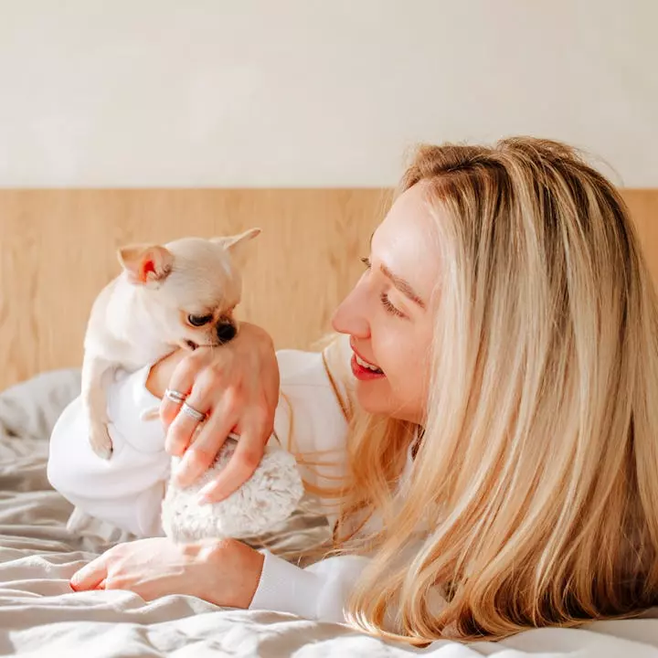 Understanding and Managing Your Dog's Nibbling Behavior