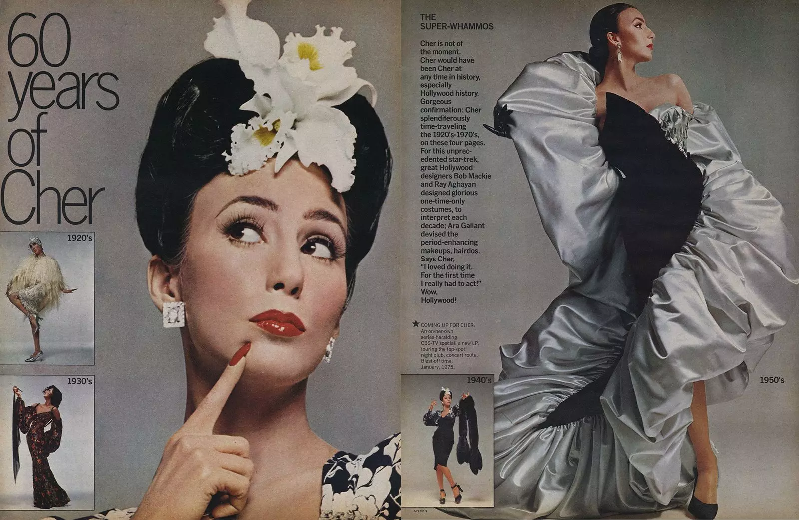 Cher's Timeless Hollywood Journey Across Decades