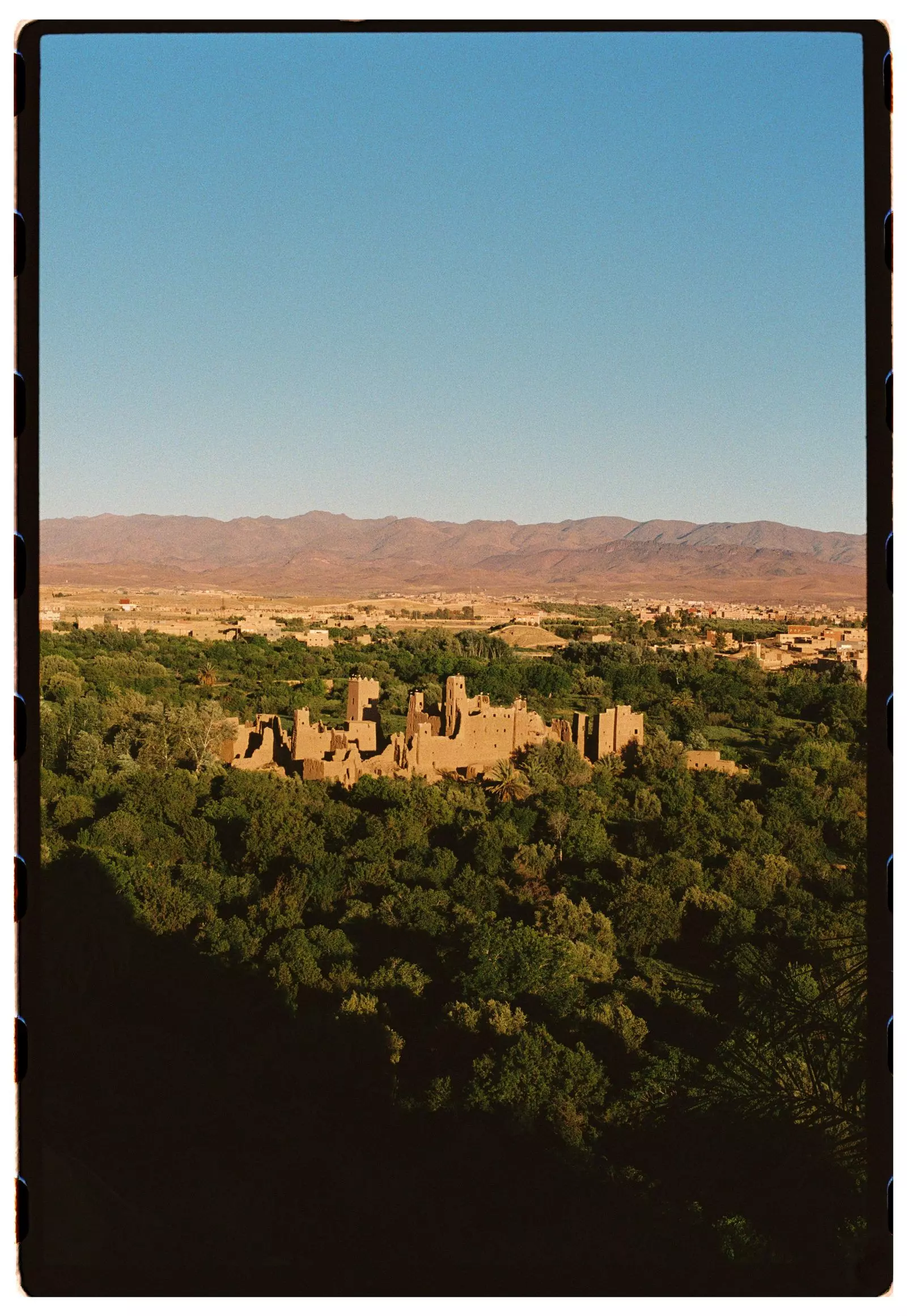 The Enduring Tradition and Evolving Future of Morocco's Rose Valley